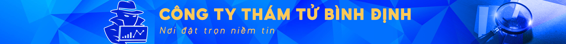 Công ty thám tử Bình Định